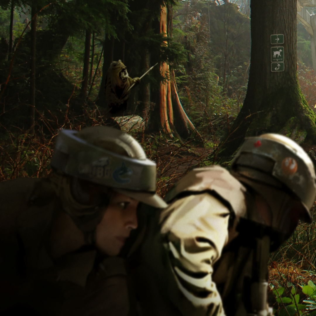 Ambush
